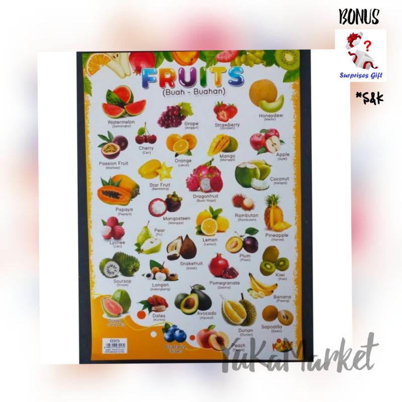 

⚡MiMarket⚡ POSTER EDUKASI PR 099