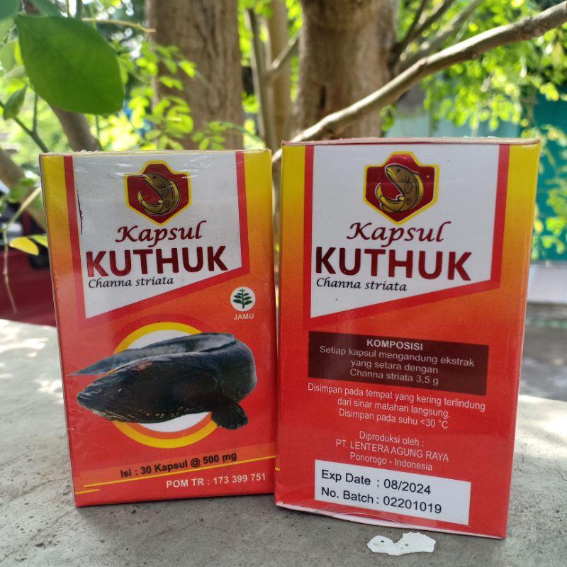 

Kapsul Kutuk Ikan Gabus Premium Obat Penyembuh Luka Pasca Operasi Asli 100% Original Albumin Asli best quality