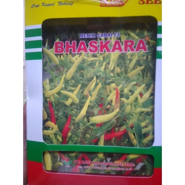 Cabe bhaskara f1(10gr)