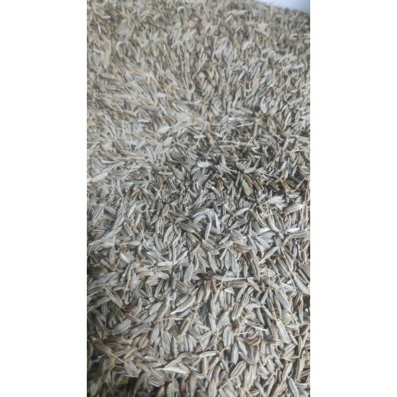 

Jintan 1Kg Quality
