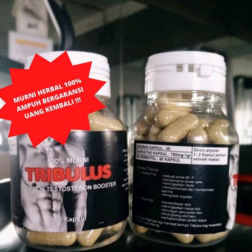 ▶ TRIBULUS HORMON TESTOSTERON ㅦ