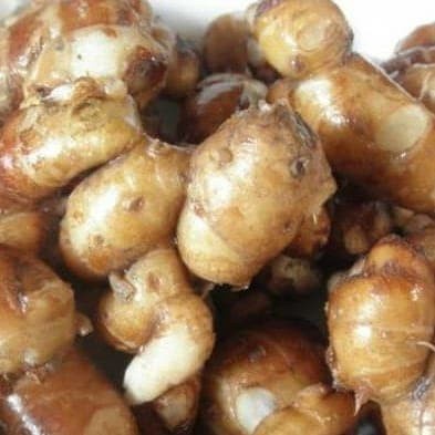 

Promo Jual Murah Kencur Segar