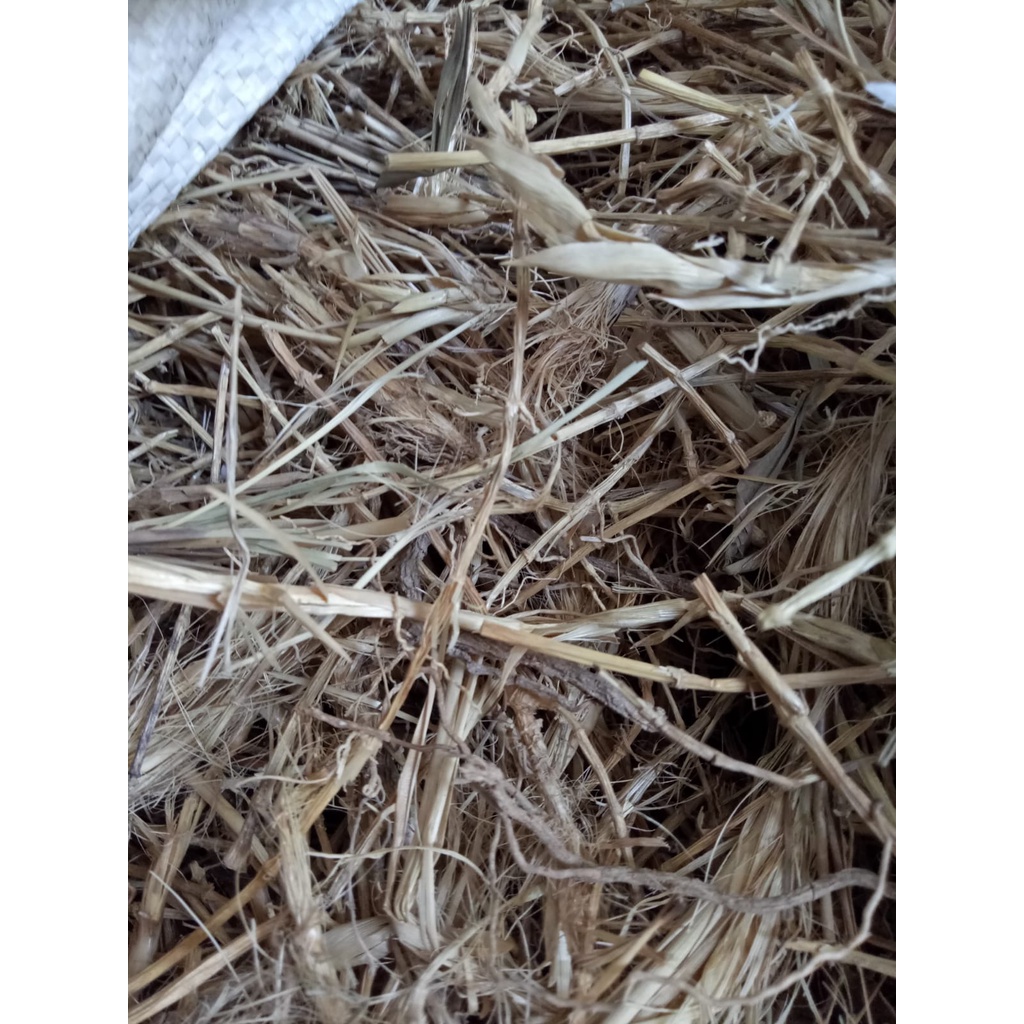 

Alang-alang kering 1/2kg