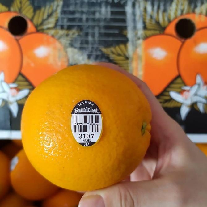 

Jeruk Sunkist Navel USA per 1Kg