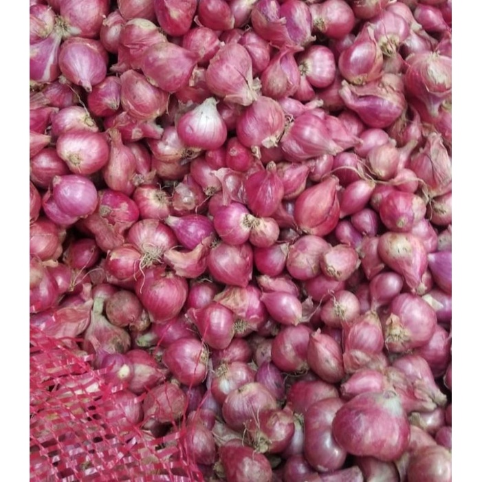 

Bawang Merah Premium sudah sortiran Berat 500gr