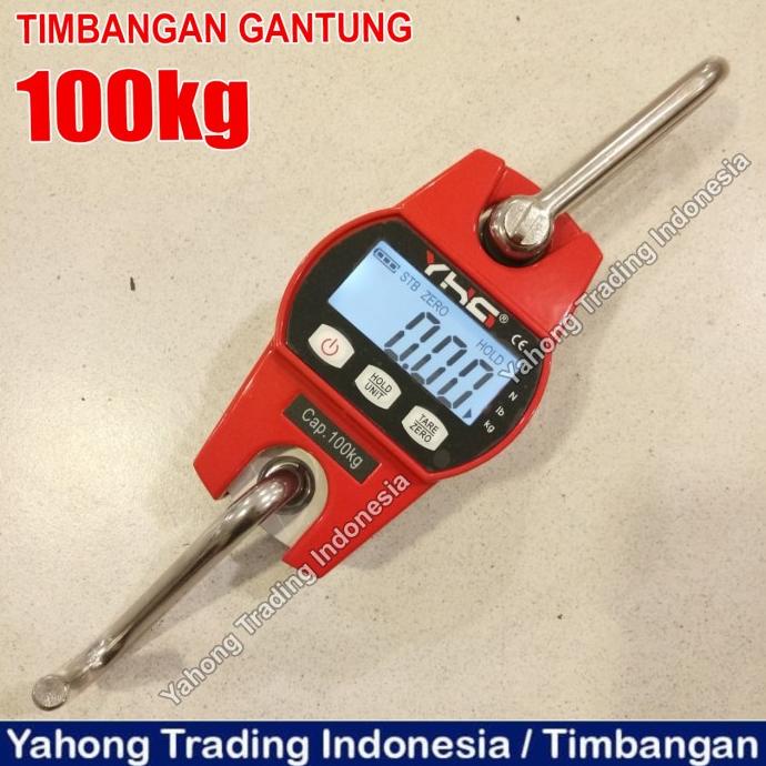 Timbangan Gantung Digital Mini Crane Scale 100Kg 0.05Kg