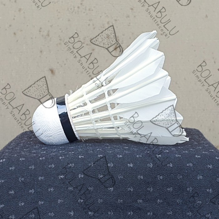 Shuttlecock Pawer Poona