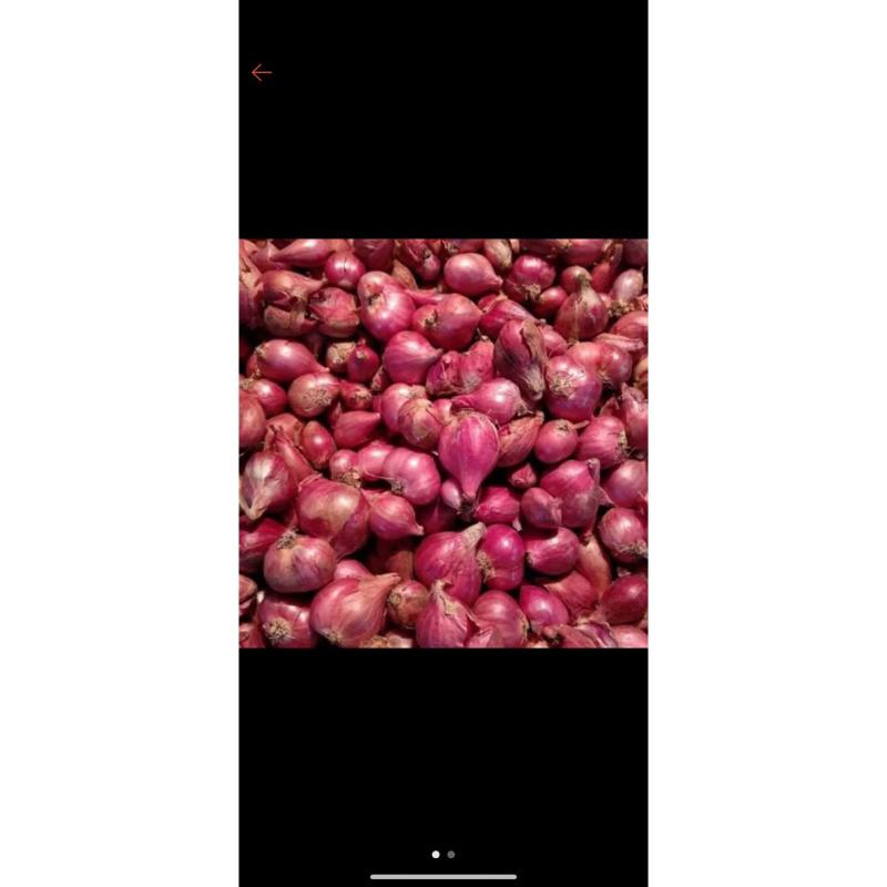 

BAWANG MERAH LOKAL 1kg kualitas Best Seller