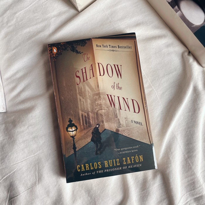 HOT SALE THE SHADOW OF THE WIND BY CARLOS RUIZ ZAFN TERBARU