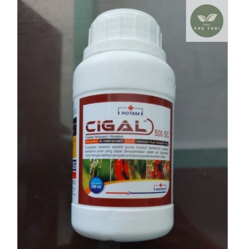 FUNGISIDA TEBUKONAZOL CIGAL 500 SC 250 ML