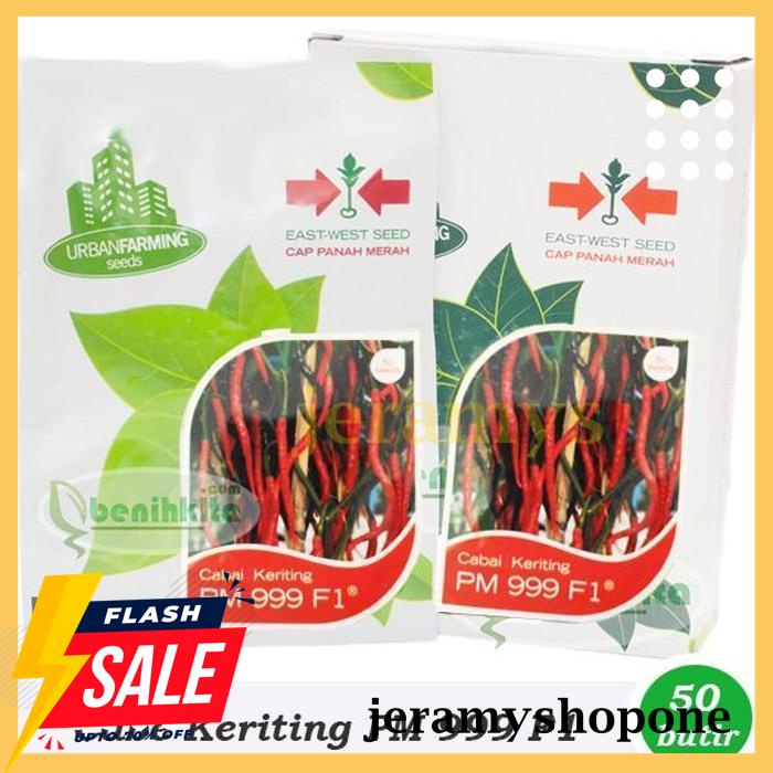 BEST PRODUK BENIH-BIBIT CABE KERITING PM 999 F1 (CAP PANAH MERAH) 
