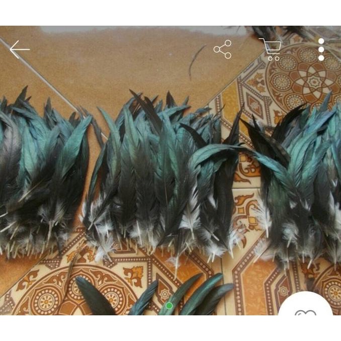 

^^^^^] Bulu ayam lancur warna ori hitam/ isi 50 biji