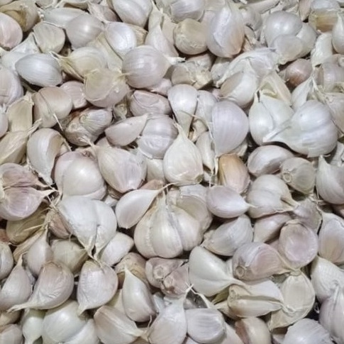 

WQKR8206 bawang putih segar kating Bersih 1kg