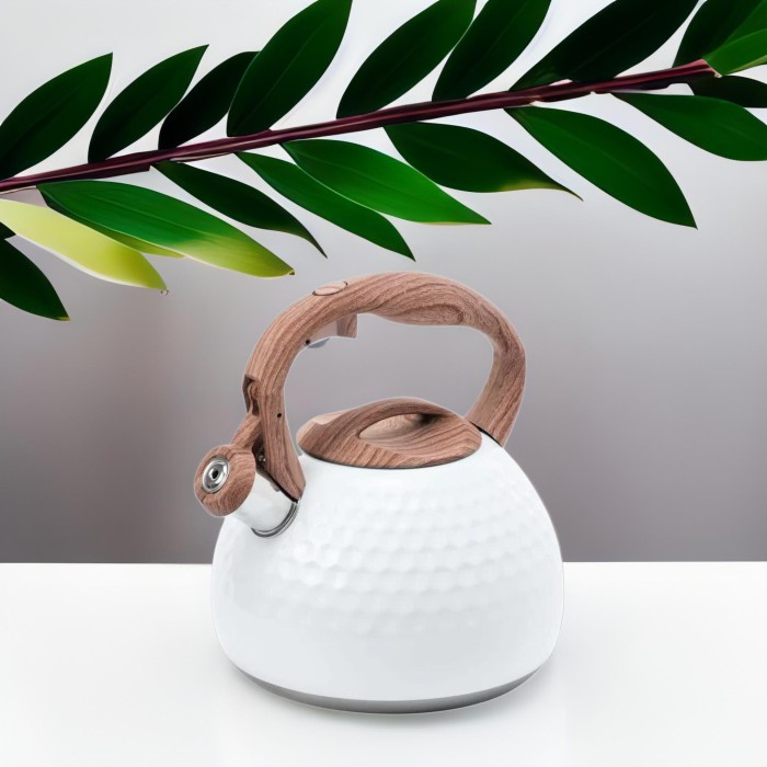 Teko Siul Estetik 3 Liter Stainless Steel