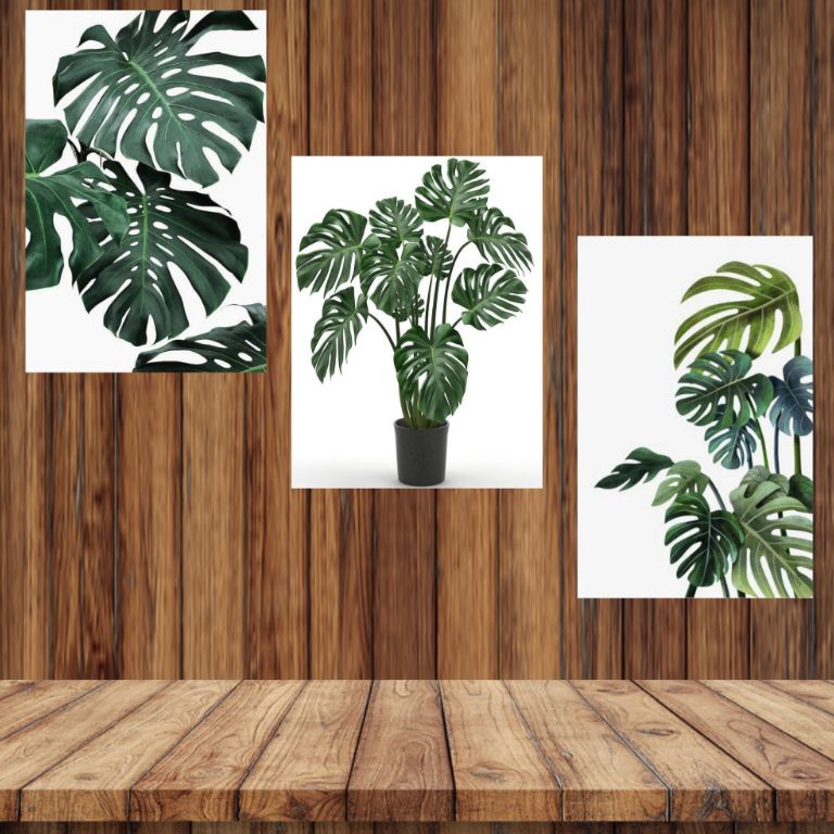 Booming.. Hiasan dinding tropikal ukuran jumbo | Hiasan dinding daun monstera ukuran A4 | Hiasan din