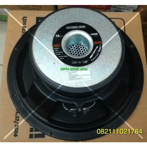 BARU speaker 12 ADS 1290