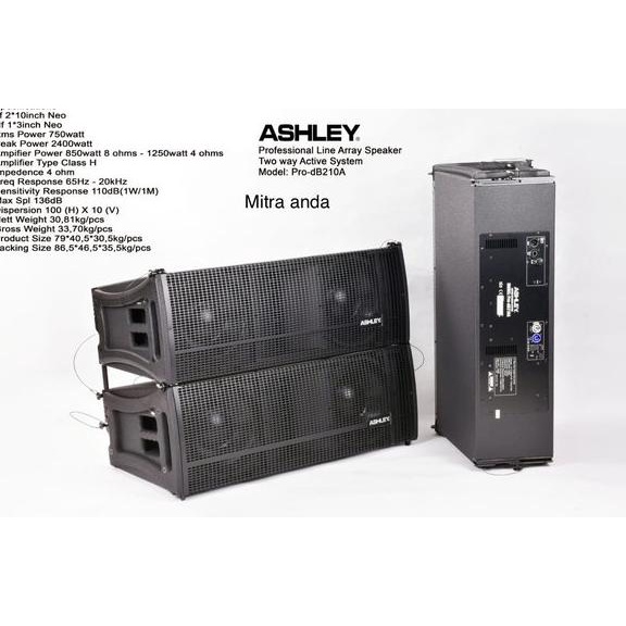 speaker line array ashley PRO db210A