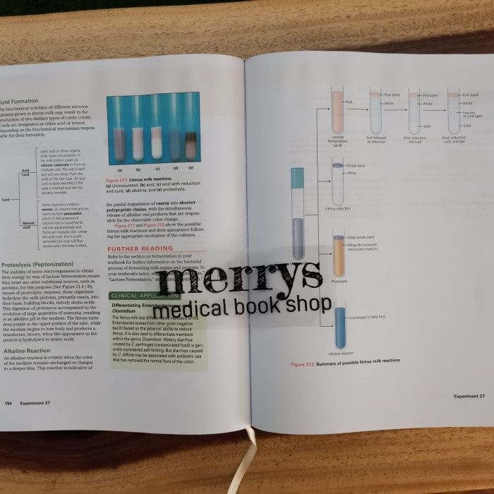 DISKON SPESIAL MICROBIOLOGY A LABORATORY MANUAL 12TH EDITION 2020 TERBARU