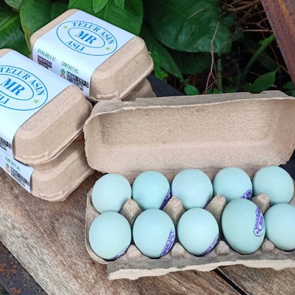 

Terbatas Paket Telur Asin MR isi 10