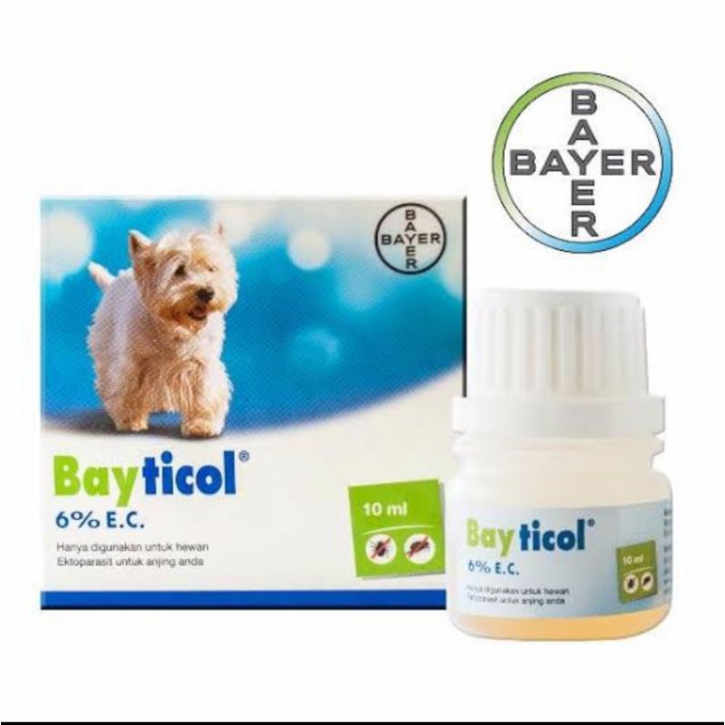 Bayticol Obat Kutu Anjing Kutu Promo BBF