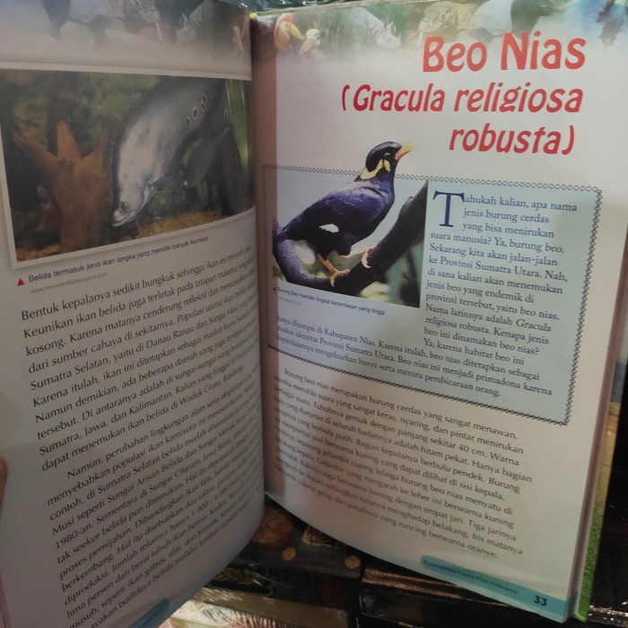MUST HAVE SERI ENSIKLOPEDIA ILMU PENGETAHUAN SOSIAL, FAUNA KHAS INDONESIA BY WEN TERMURAH