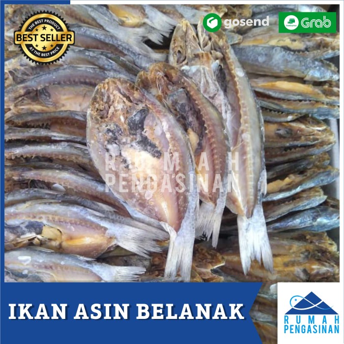 

IKAN ASIN BELANAK 1Kg/Ikan belanak asin/ikan asin good quality