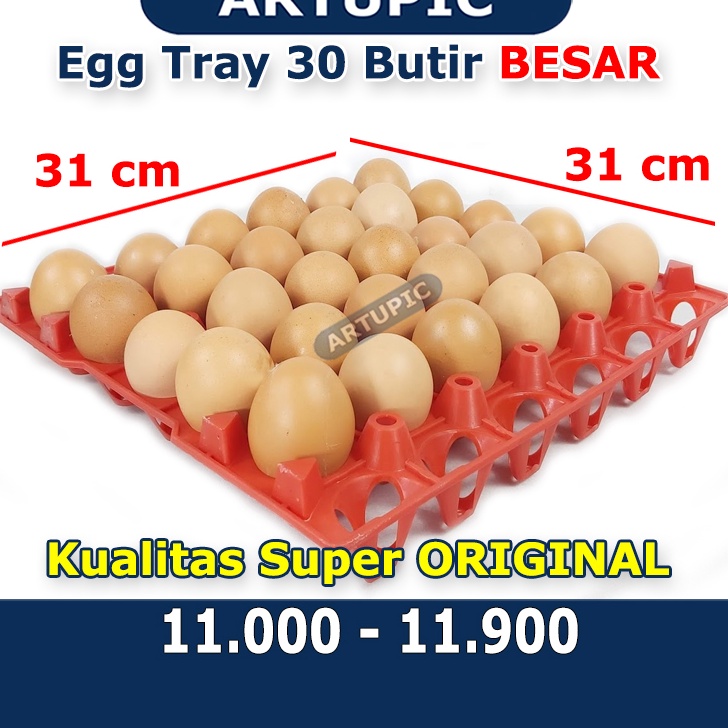➣✷✮ Egg tray ayam bebek 30 butir nampan tempat telur ayam bebek petelur plastik Terkini