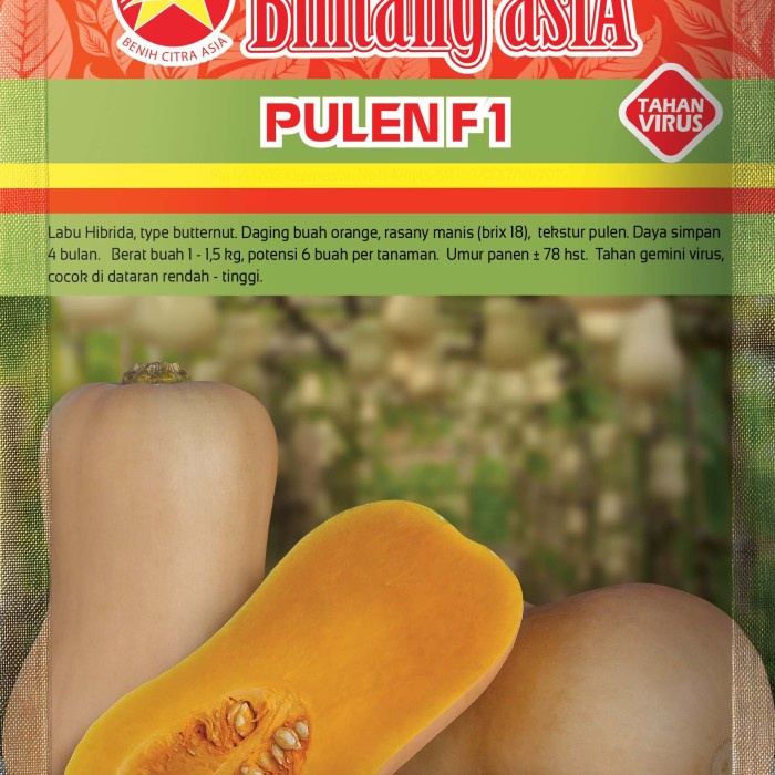 benih labu madu butternut pulen f1 bintang asia 10gr