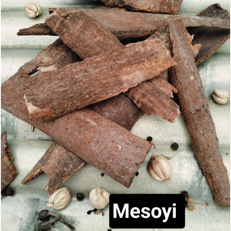 

Mesoyi/Kayu Masoyi/Masoi