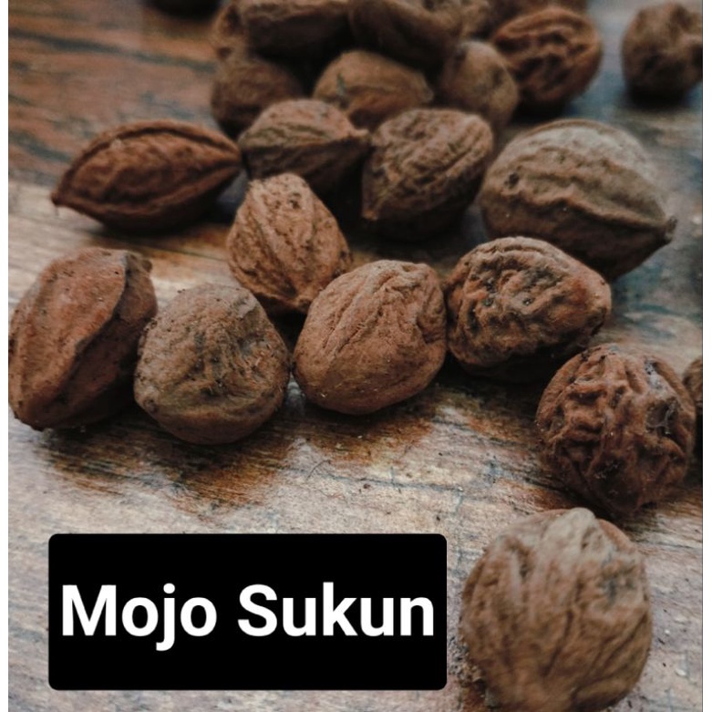 

Mojo Sukun/Joho Sukun Kering