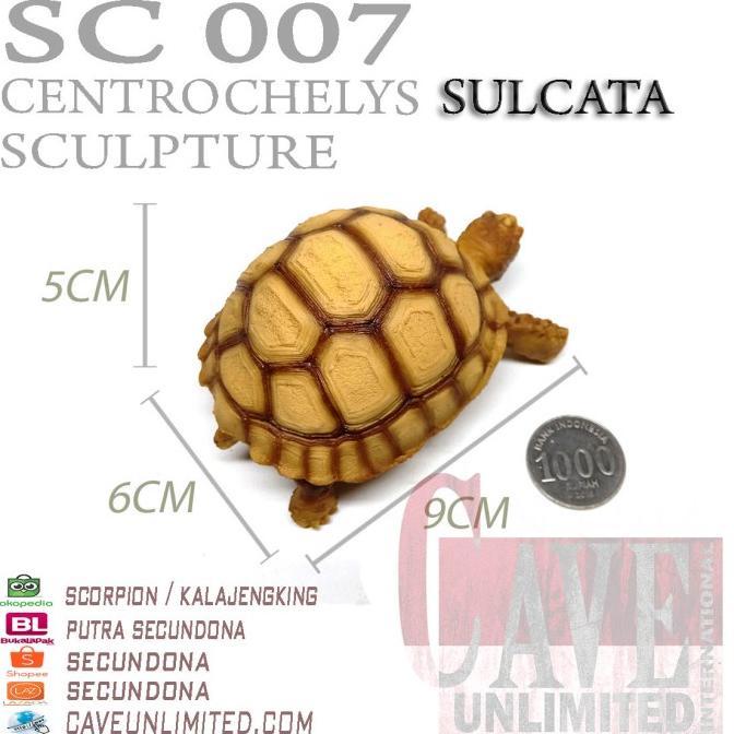 Ready Replika Patung Miniatur Hewan Baby Tortoise Sulcata Kura Kura Darat Limited Edition