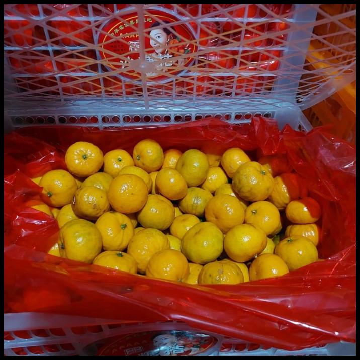 

BEST DEAL BUAH JERUK SANTANG ORANGE/ JERUK IMPORT FRESH/ KADO HAMPERS !
