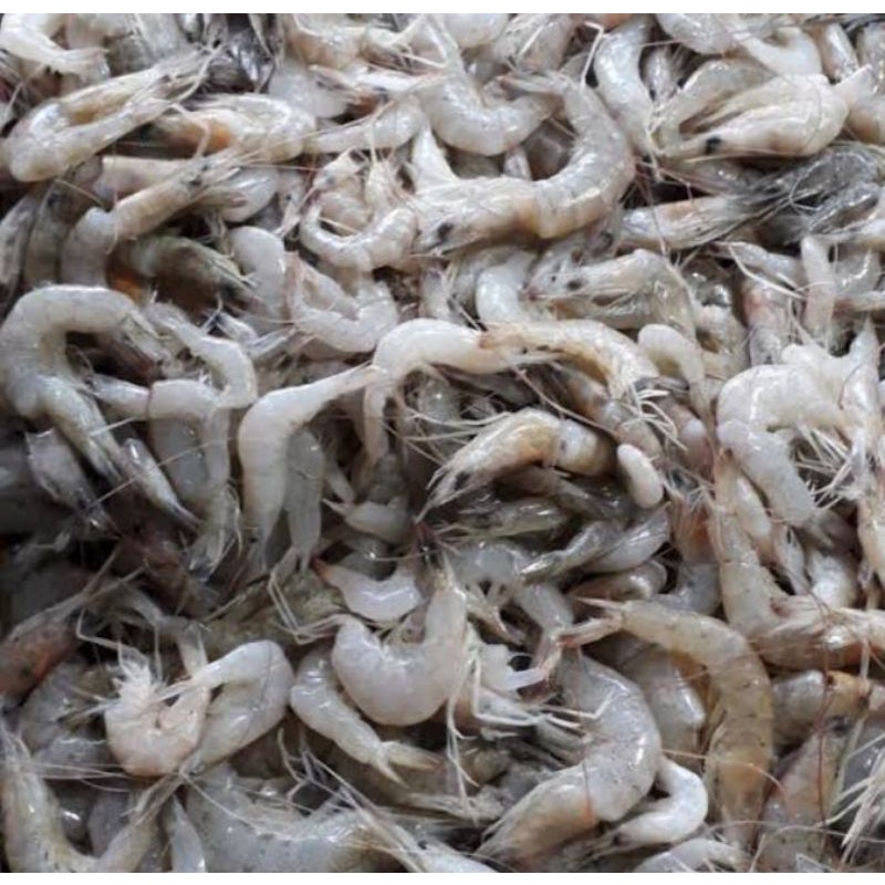 

UDANG FRESH 250gram