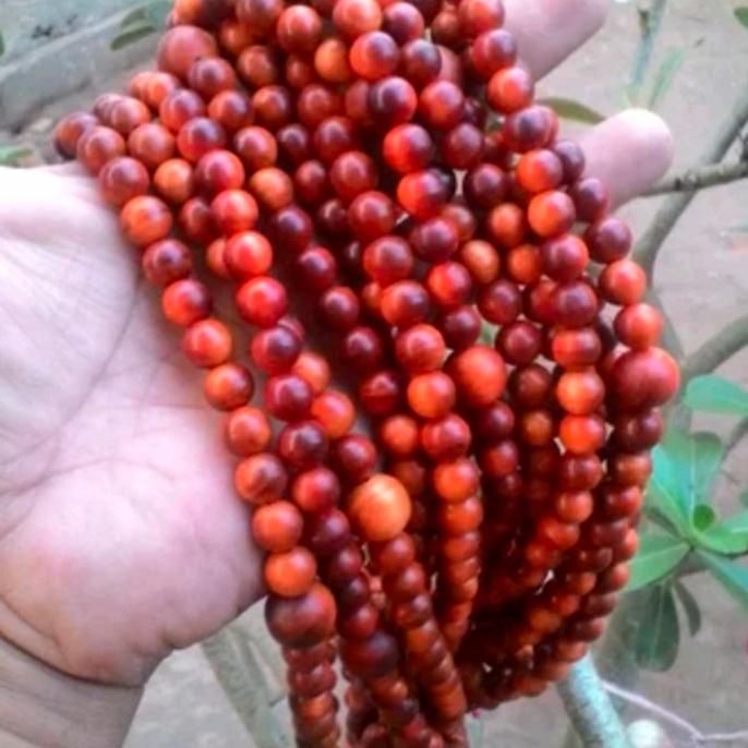 TASBIH KAYU RAJA AGATIS DRAGON BLOOD 108 8MM
