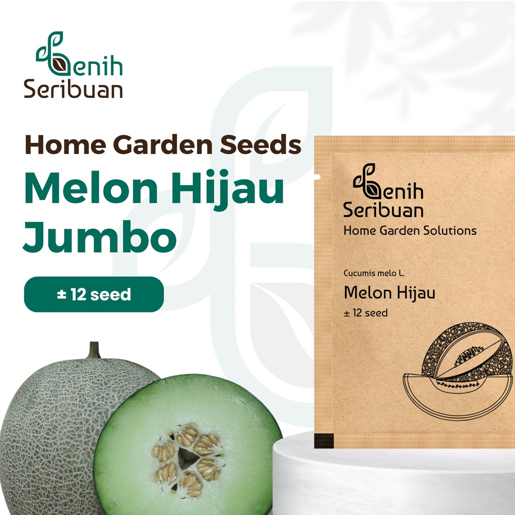 Benih Seribuan - Bibit Buah Melon Hijau Jumbo F1 Hibrida