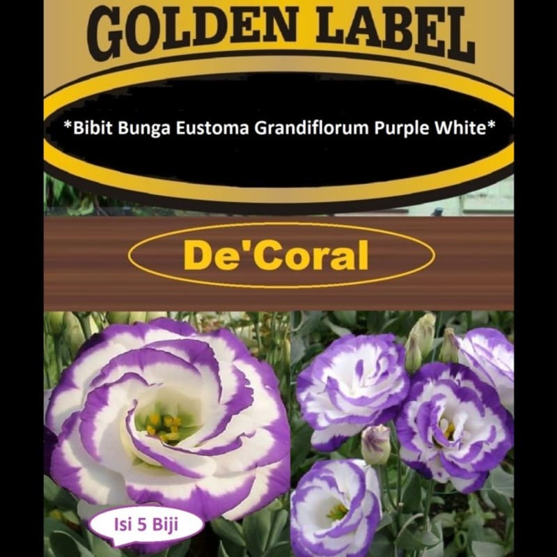 Bibit Bunga Eustoma Grandiflorum Purple White |Benih Bunga Eustoma