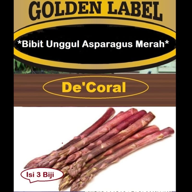 Bibit Unggul Asparagus Merah | Benih Asparagus Merah |Bibit Asparagus