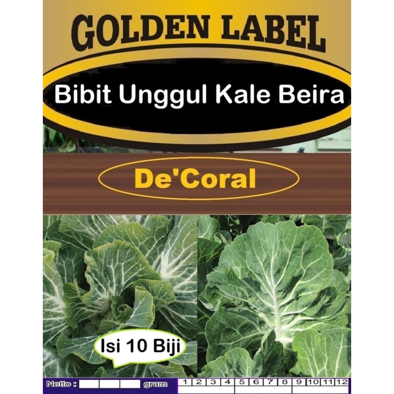 Bibit Unggul Kale Beira | Biji Benih Kale  Beira | Kale Laut