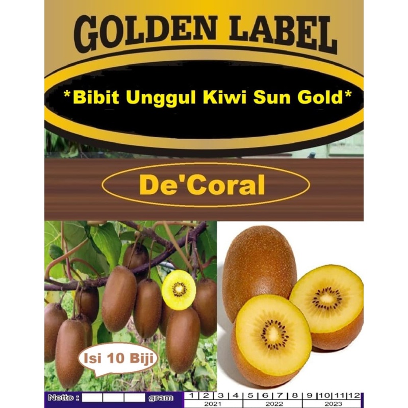 Bibit Unggul Kiwi Sun Gold|Benih Kiwi Sun Gold |Bibit Kiwi Gold