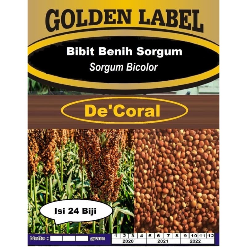 Biji Benih Sorgum | Sorgum Bicolor | Bibit Sorgum