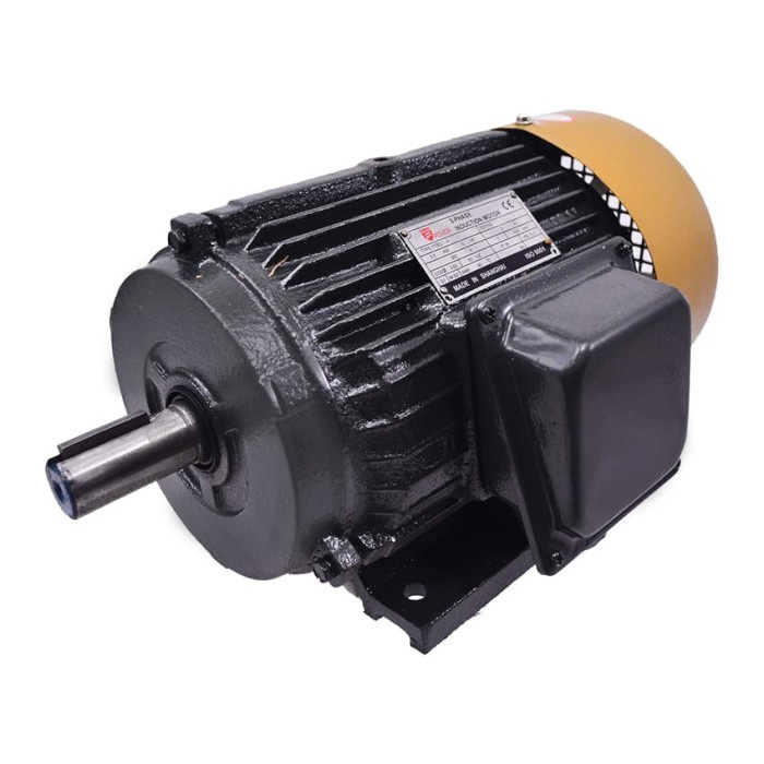 ✨Termurah Dinamo 1Pk / Electro Motor 1Hp 2Pole 3Phase Tembaga Y801-2 Terbaru