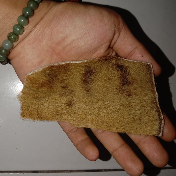 [New] Ageman Pribadi Kulit Hm Asli Mati Ngurak Aktiv Kejadugan Proteksi Joss Limited