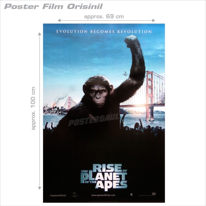 ✅Original Poster Rise Of The Planet Of The Apes - Org. Indonesian 1Sh. 69X100Cm Limited