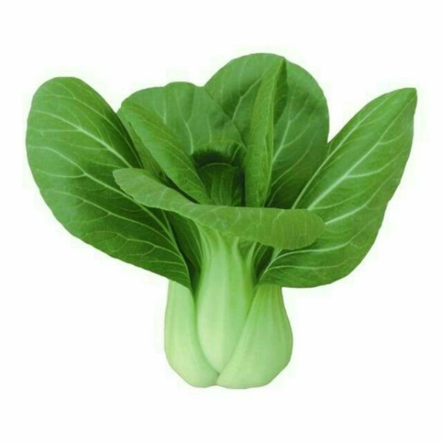 

SAYUR PAKCOY BESAR 200GR /IKAT