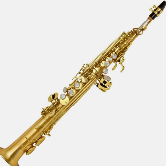 

✨Sale Soprano P.Mauriat Lebravo 200-Gl Terbaru