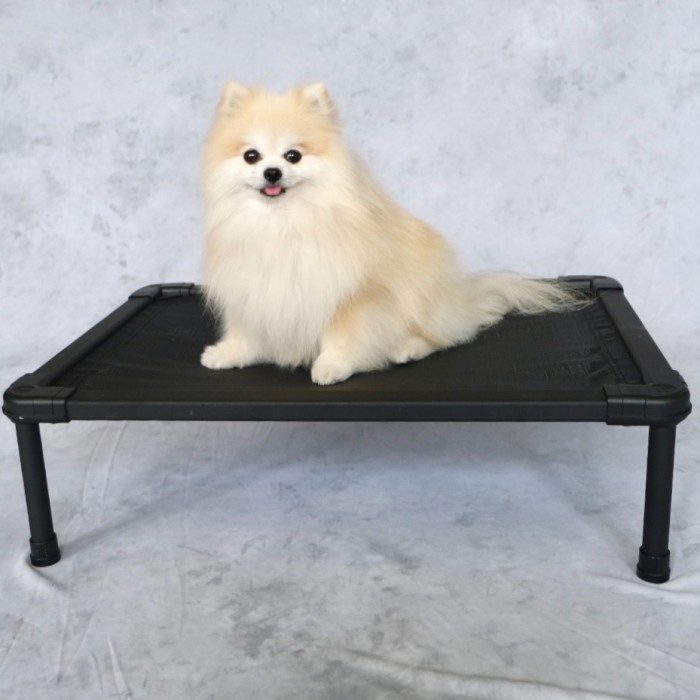 The Duracot (Small) -- Elevated Dog Bed (Pet Cot, Tempat Tidur Hewan)