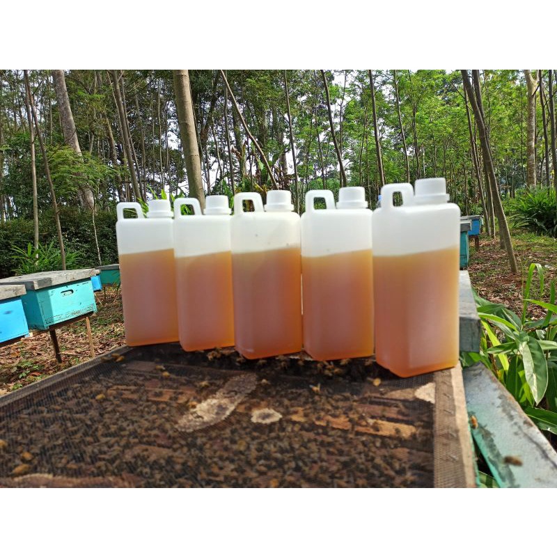 

MADU MURNI TANPA PROSES//ASLI NEKTAR BUNGA 1kg