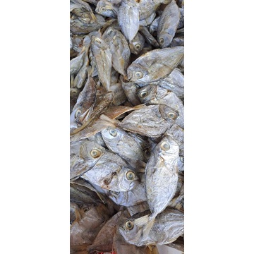 

ikanasinbondolan250gram