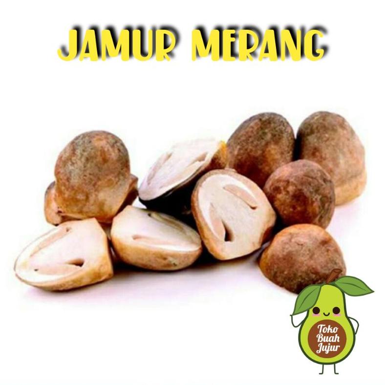 

New - JAMUR MERANG 250Gr !!