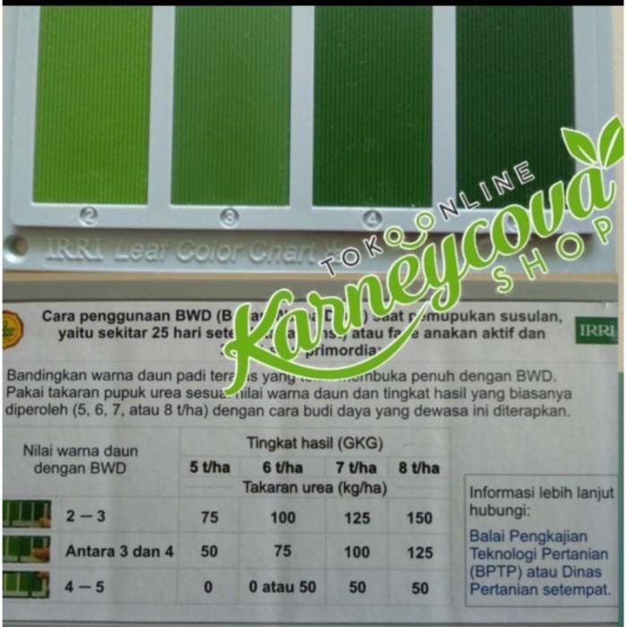 Bagan Warna Daun Bwd Untuk Padi